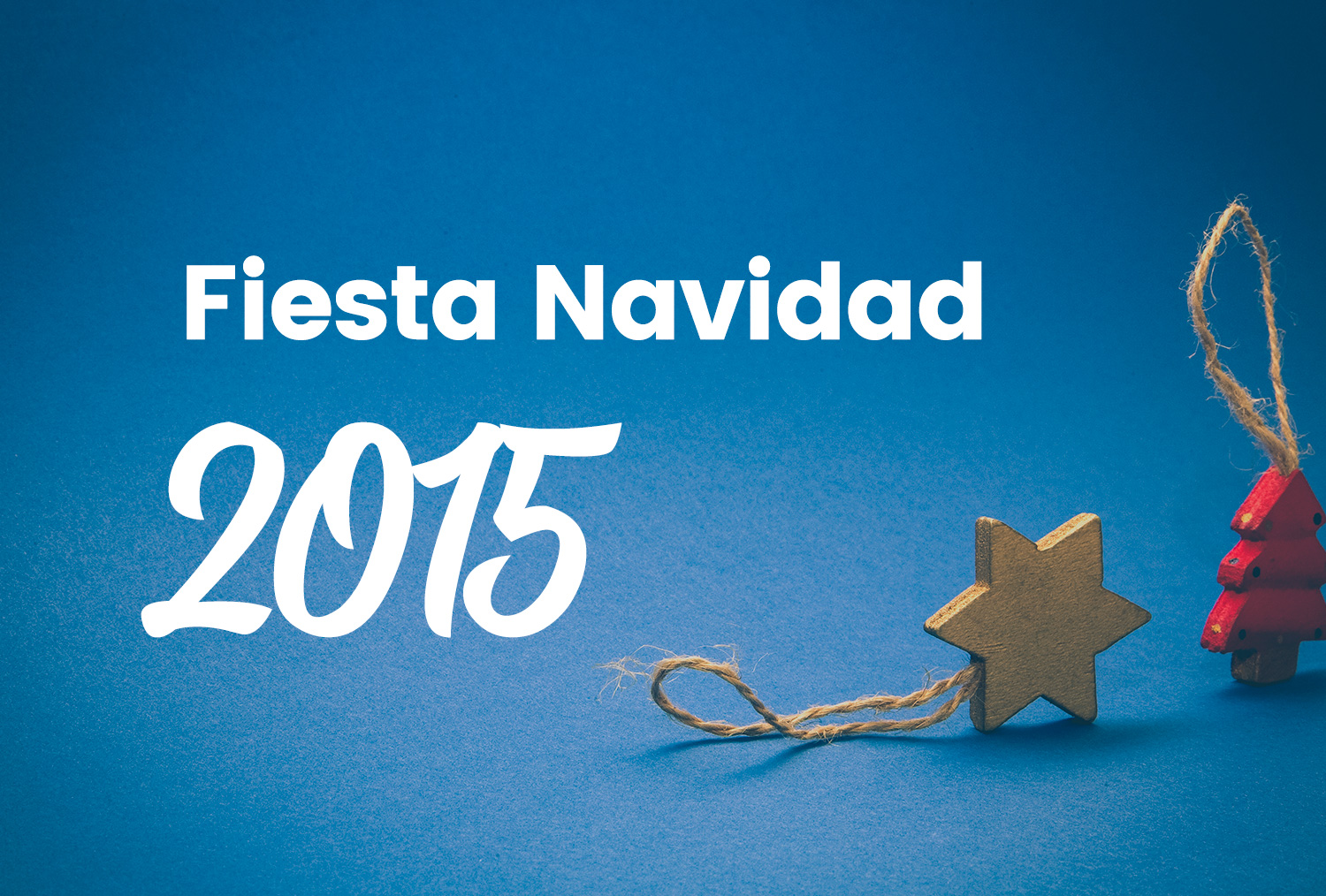 Fiesta Navidad 2015